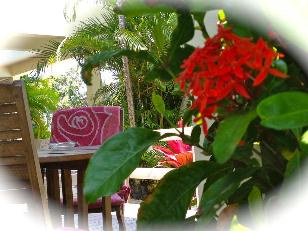 La Rose Du Sud Otel Saint-Joseph Dış mekan fotoğraf